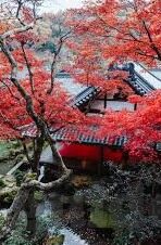 查看足球历史比分-从历史比分中探寻足球的永恒魅力，那些数字背后的传奇故事